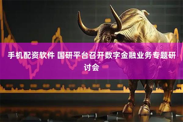 手机配资软件 国研平台召开数字金融业务专题研讨会