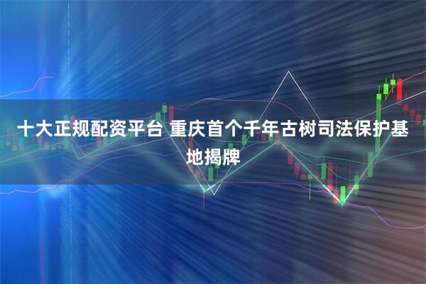 十大正规配资平台 重庆首个千年古树司法保护基地揭牌