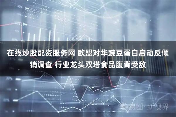 在线炒股配资服务网 欧盟对华豌豆蛋白启动反倾销调查 行业龙头双塔食品腹背受敌