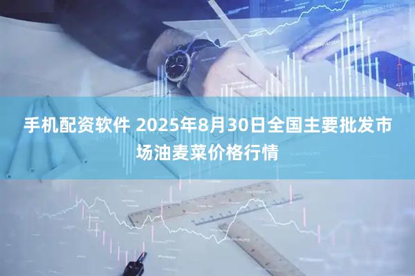 手机配资软件 2025年8月30日全国主要批发市场油麦菜价格行情