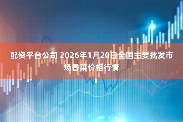 配资平台公司 2026年1月20日全国主要批发市场香菜价格行情