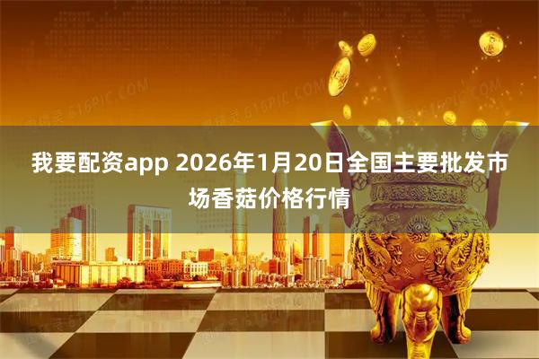 我要配资app 2026年1月20日全国主要批发市场香菇价格行情