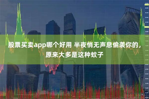 股票买卖app哪个好用 半夜悄无声息偷袭你的，原来大多是这种蚊子