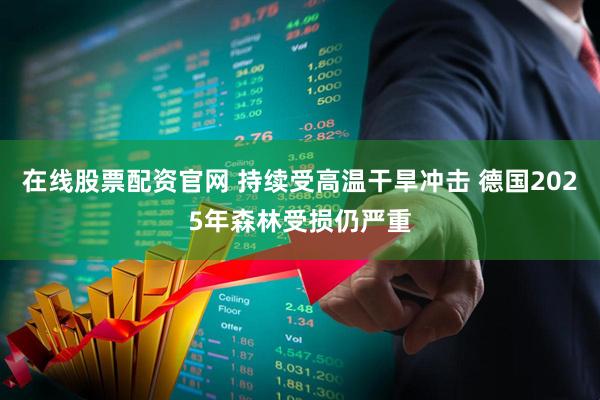 在线股票配资官网 持续受高温干旱冲击 德国2025年森林受损仍严重